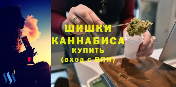 дмт Костерёво