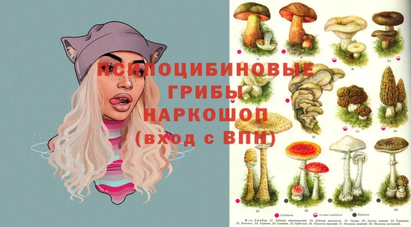 Альфа ПВП Корсаков