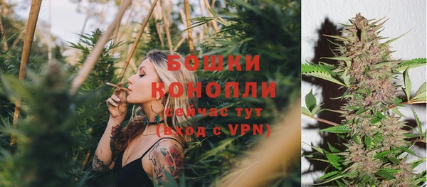 Альфа ПВП Корсаков