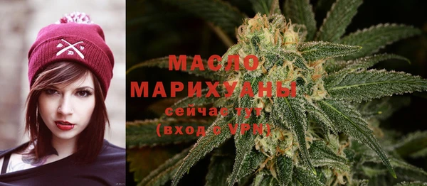 дмт Костерёво