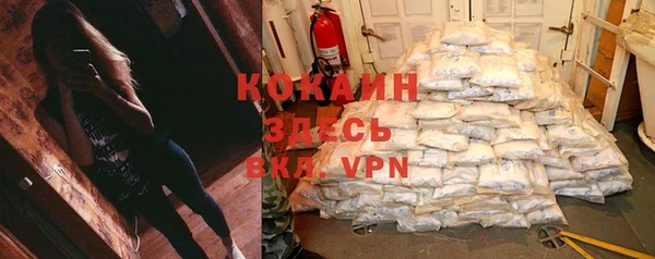 дмт Костерёво